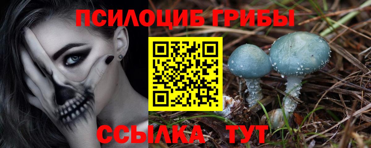 Партизанск  Галлюциногенные грибы Psilocybine cubensis  Вход с VPN  Галлюциногенные грибы MAGIC MUSHROOMS 